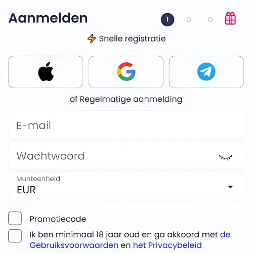 Instructie Gegevens verstrekken